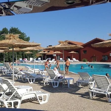 Guest Rooms Wild Duck Ezerets Bagian luar foto
